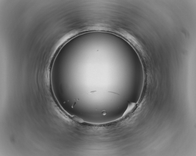 X0000113141238200909041202