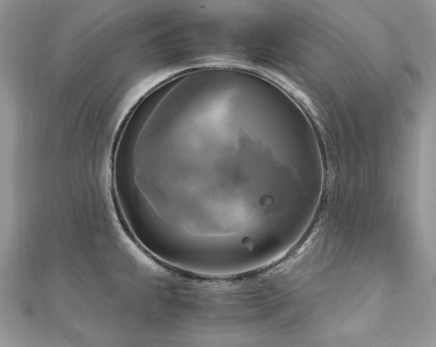 X0000113141239200909041202