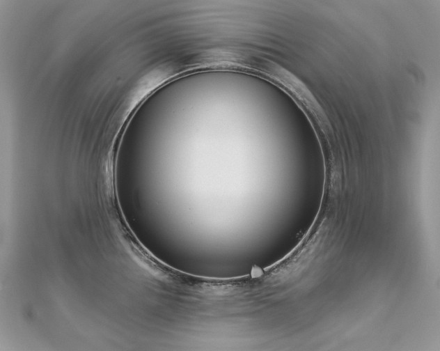X0000113141242200909041202