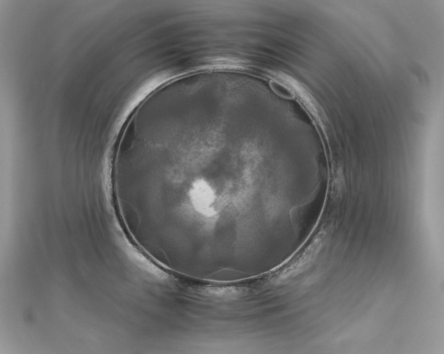 X0000113141243200909041202