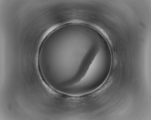 X0000113141245200909041202