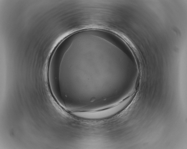 X0000113141246200909041202
