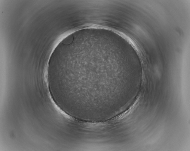 X0000113141247200909041202