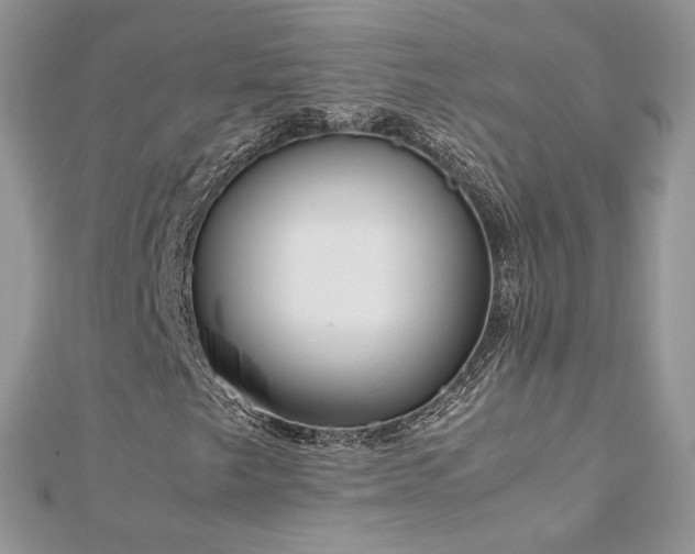 X0000113141249200909041201