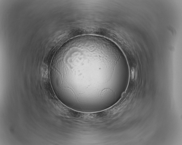 X0000113141251200909041201