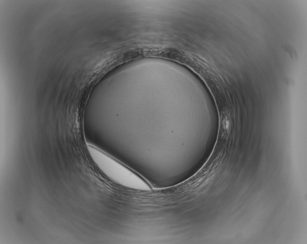 X0000113141252200909041201