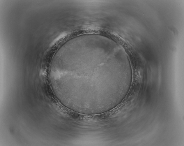 X0000113141254200909041201