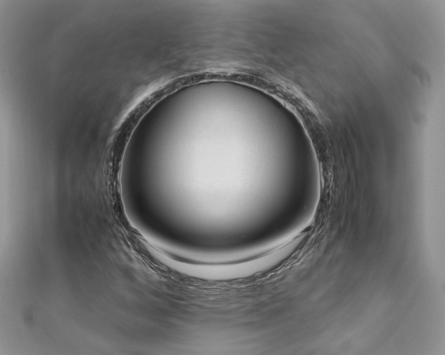 X0000113141256200909041201