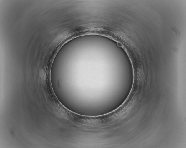 X0000113141257200909041201