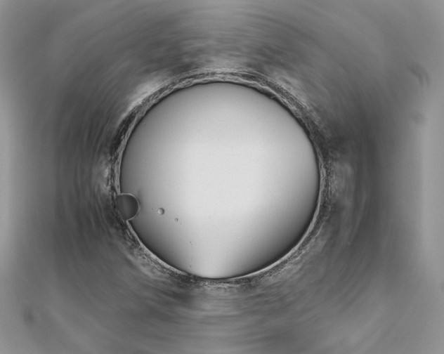 X0000113141258200909041201