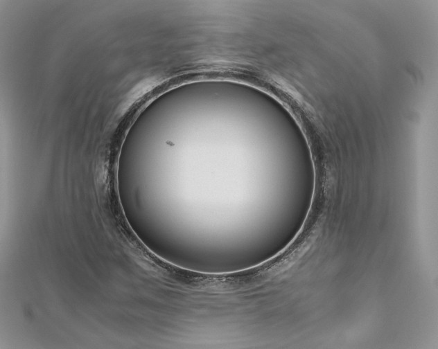 X0000113141259200909041201