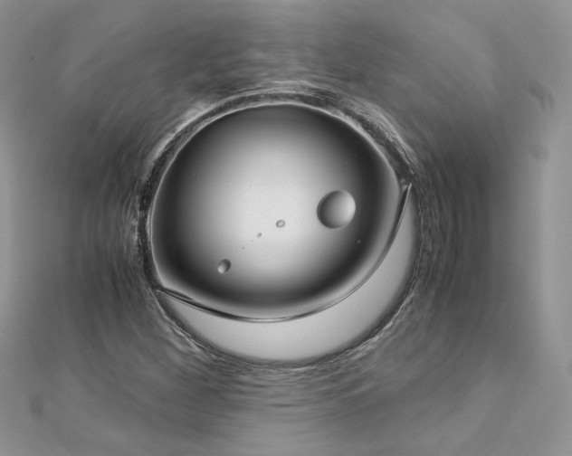 X0000113141260200909041201