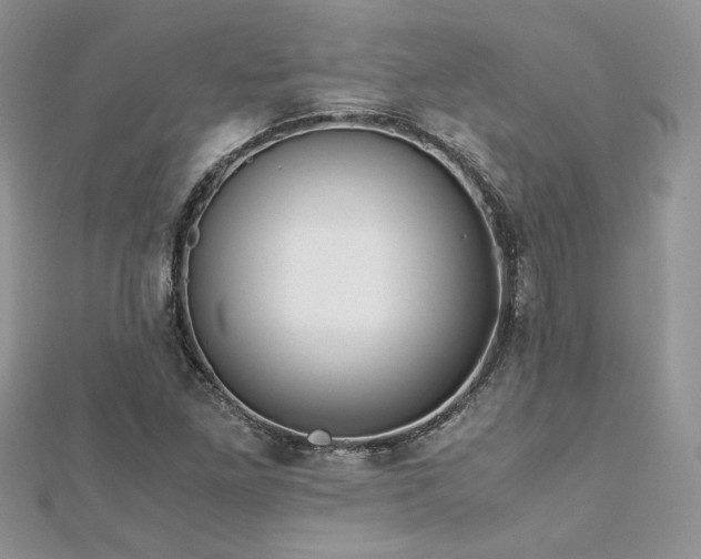 X0000113141261200909041201