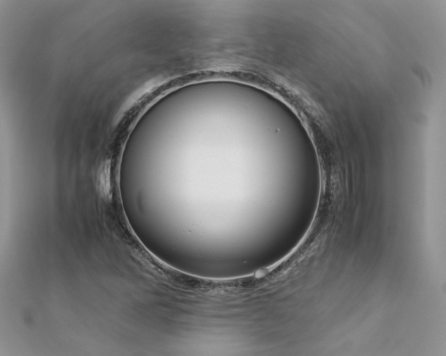 X0000113141262200909041201