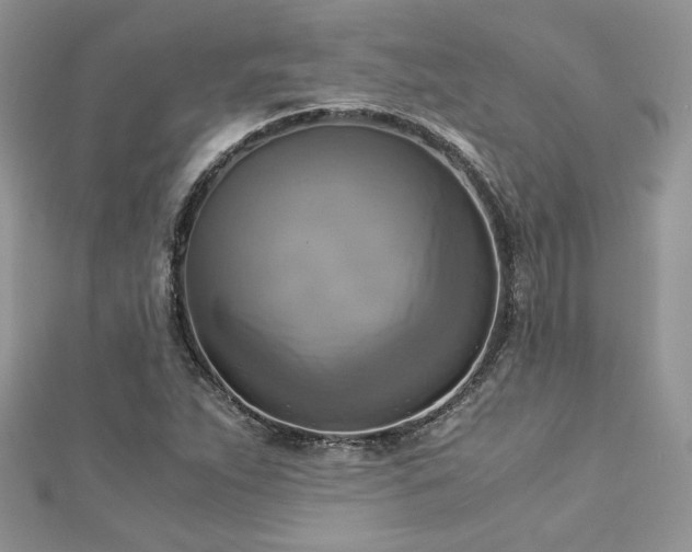 X0000113141263200909041201