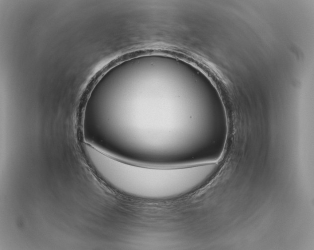 X0000113141264200909041201