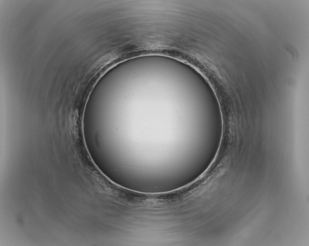 X0000113141265200909041201
