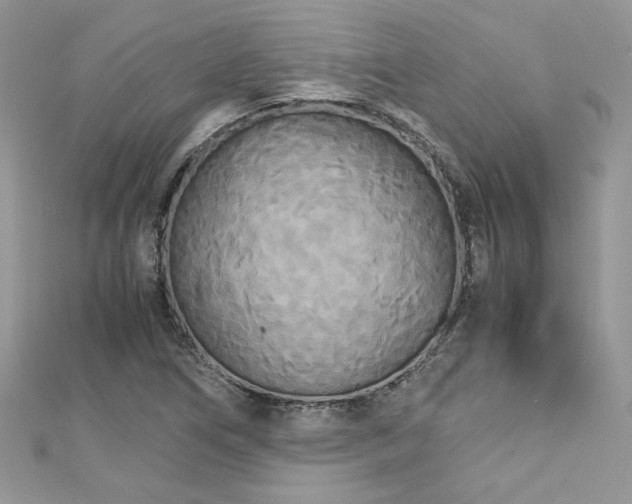 X0000113141266200909041201