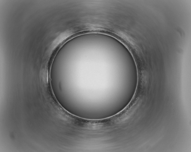X0000113141269200909041201