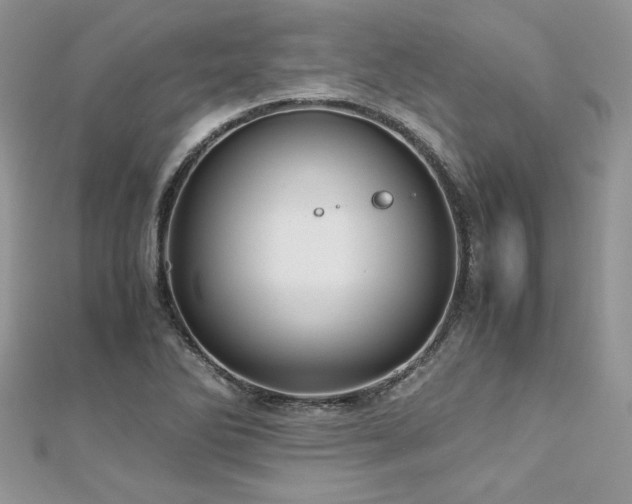 X0000113141270200909041201