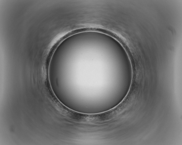 X0000113141271200909041201