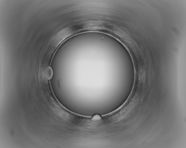 X0000113141273200909041201