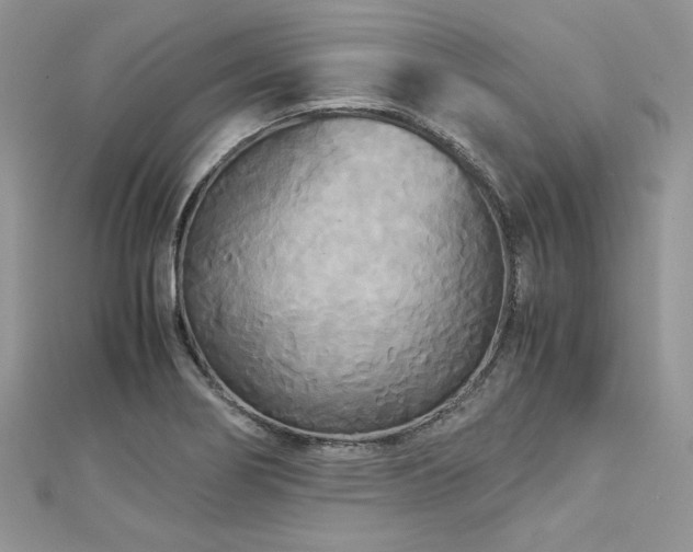 X0000113141274200909041201