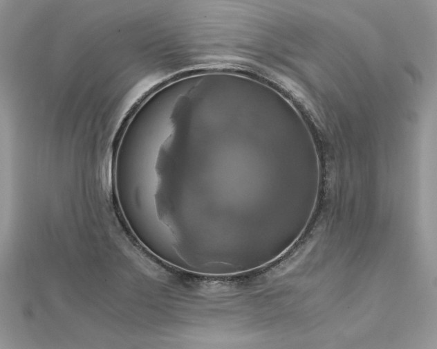 X0000113141275200909041201