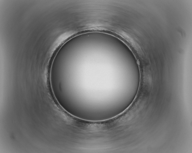 X0000113141277200909041201