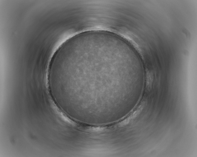 X0000113141278200909041201