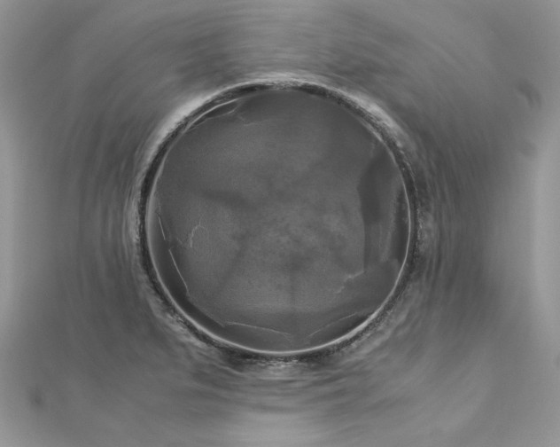 X0000113141279200909041201