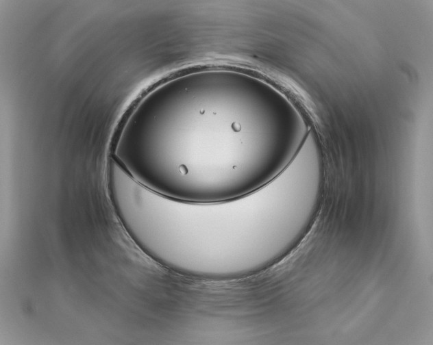 X0000113141280200909041201