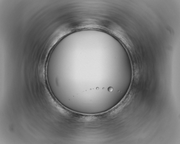 X0000113141282200909041201