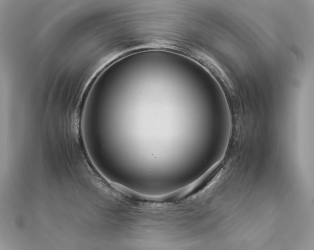 X0000113141284200909041201