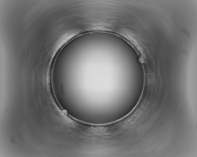 X0000113141285200909041201