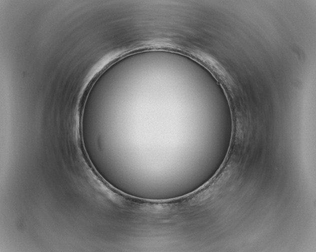 X0000113141286200909041201