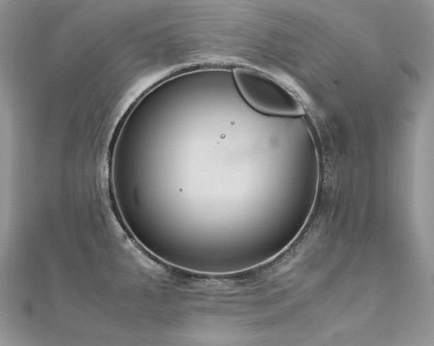 X0000113141287200909041201
