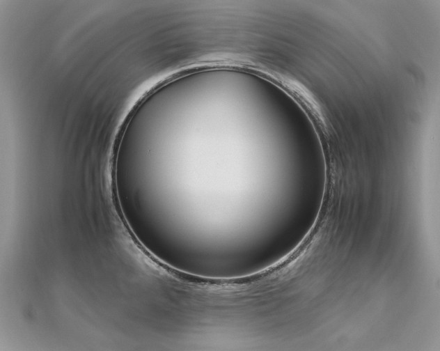 X0000113141288200909041201