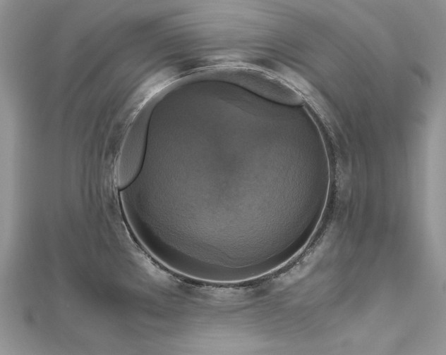 X0000113141289200909041201