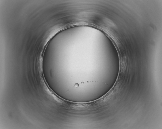 X0000113141290200909041201