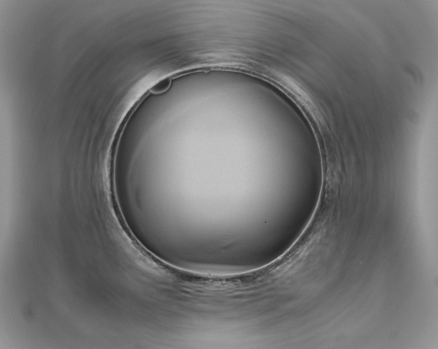 X0000113141291200909041201