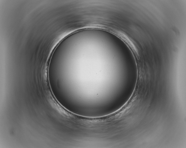 X0000113141292200909041201