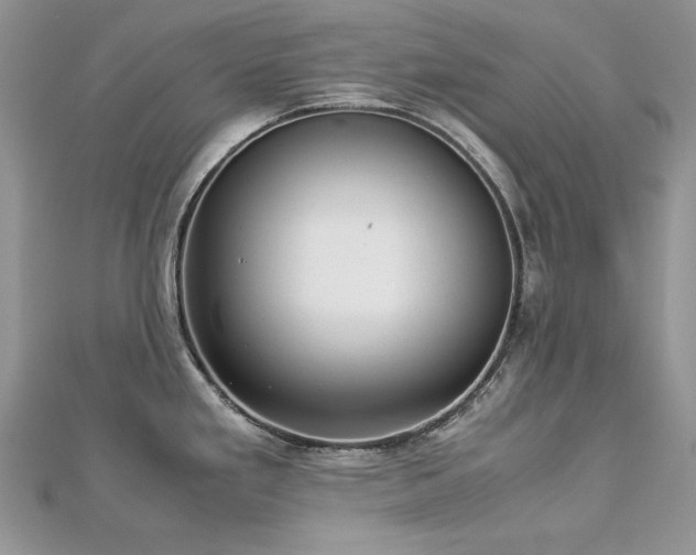 X0000113141293200909041201