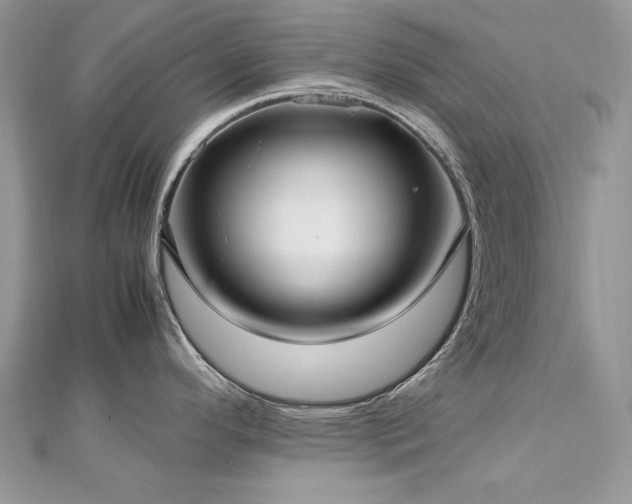 X0000113141296200909041201