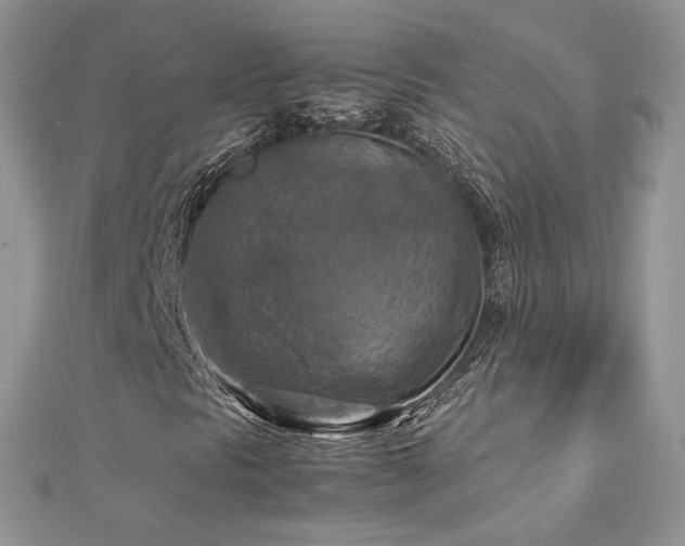 X0000113141297200909041200