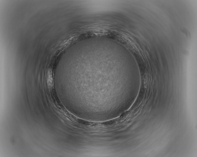 X0000113141298200909041200
