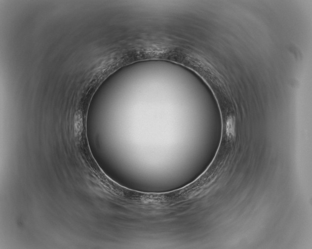 X0000113141299200909041200