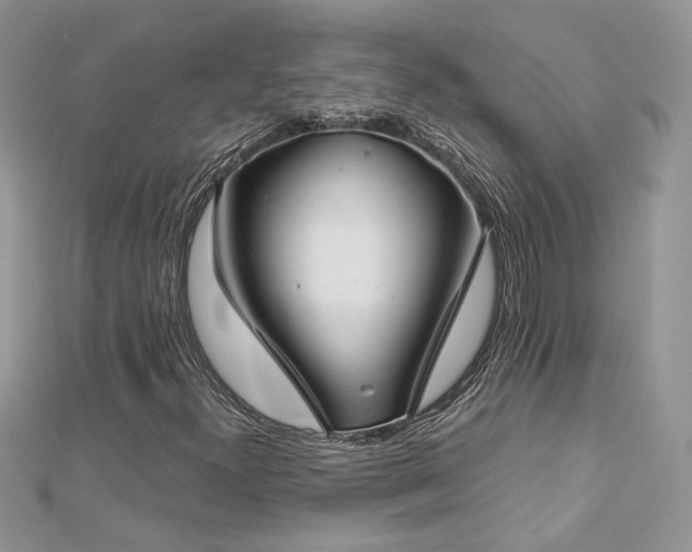 X0000113141300200909041200