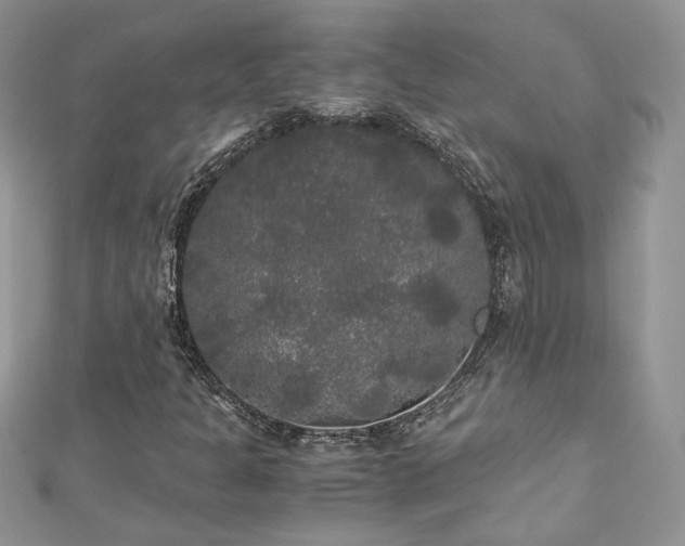 X0000113141301200909041200