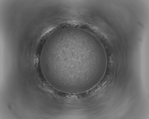 X0000113141302200909041200